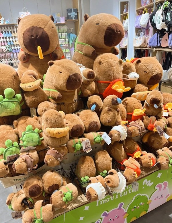 gấu bông capybara 13