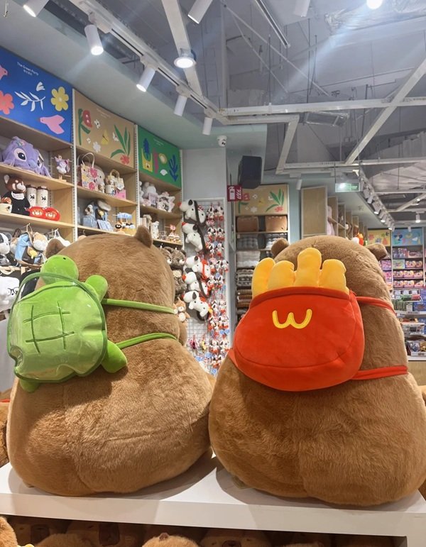 gấu bông capybara 14