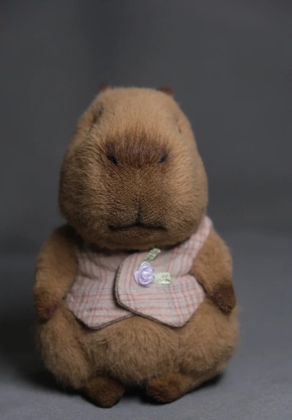 gấu bông capybara 19