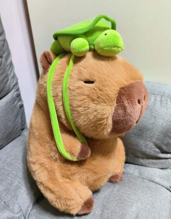 gấu bông capybara 20