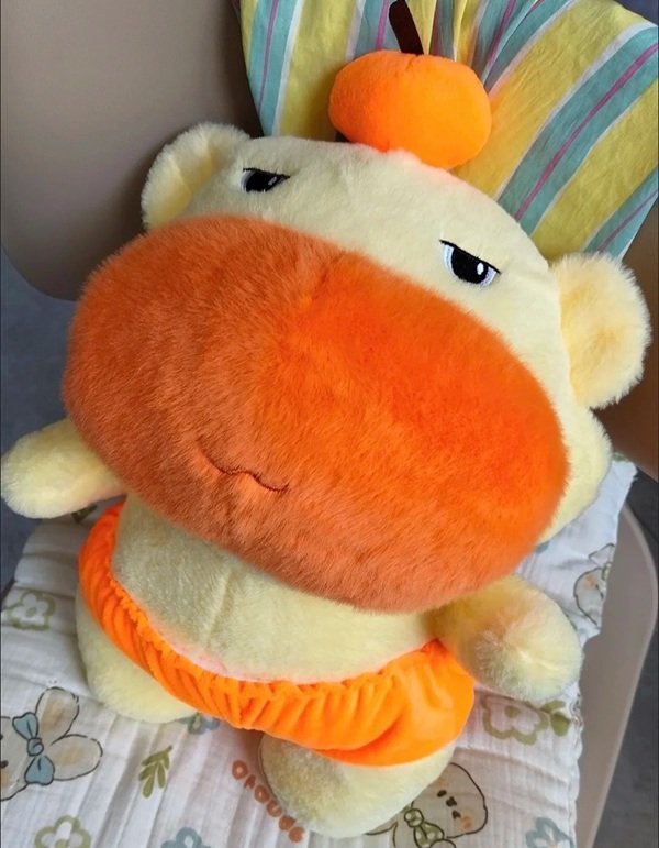 gấu bông capybara 22