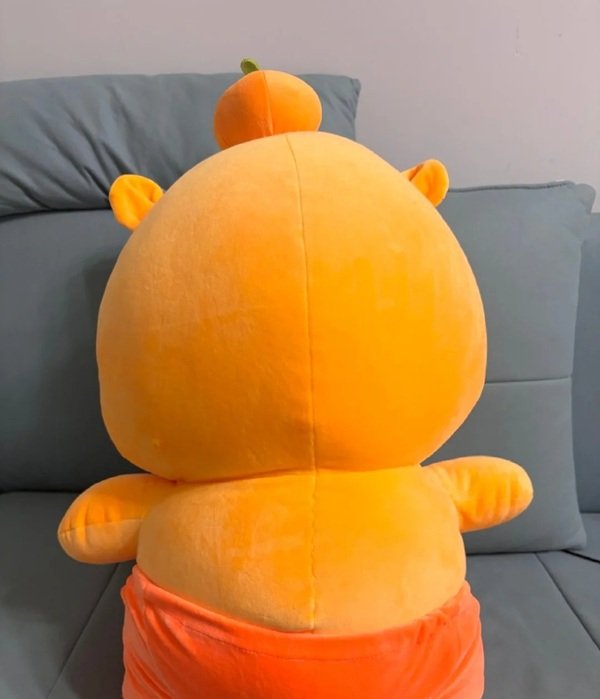 gấu bông capybara 24