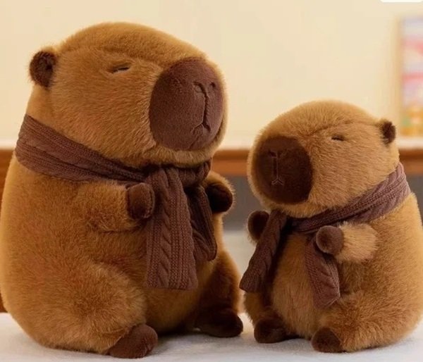 gấu bông capybara 26