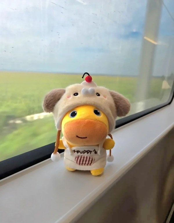 gấu bông capybara 27