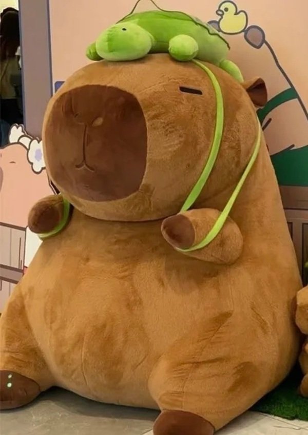 gấu bông capybara 3