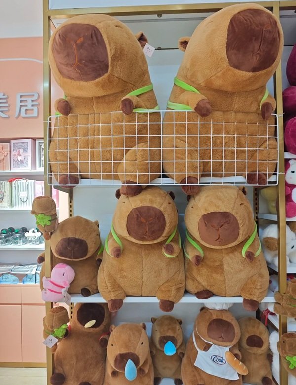gấu bông capybara 6