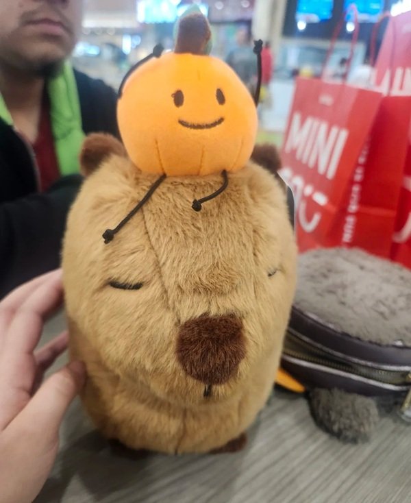 gấu bông capybara 8