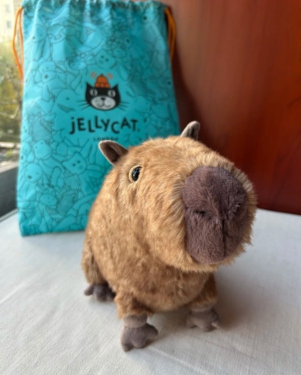 gấu bông capybara 9