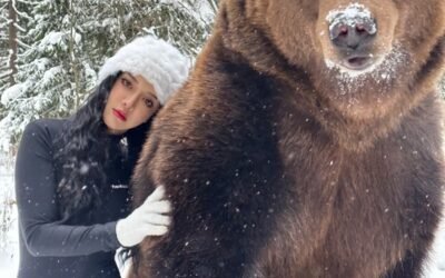 79+ Ảnh gấu nâu dễ thương với tạo hình ngộ nghĩnh