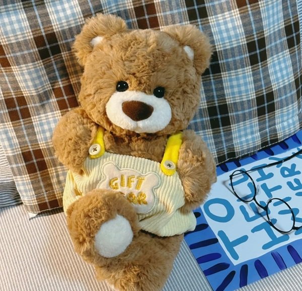 gấu teddy 13