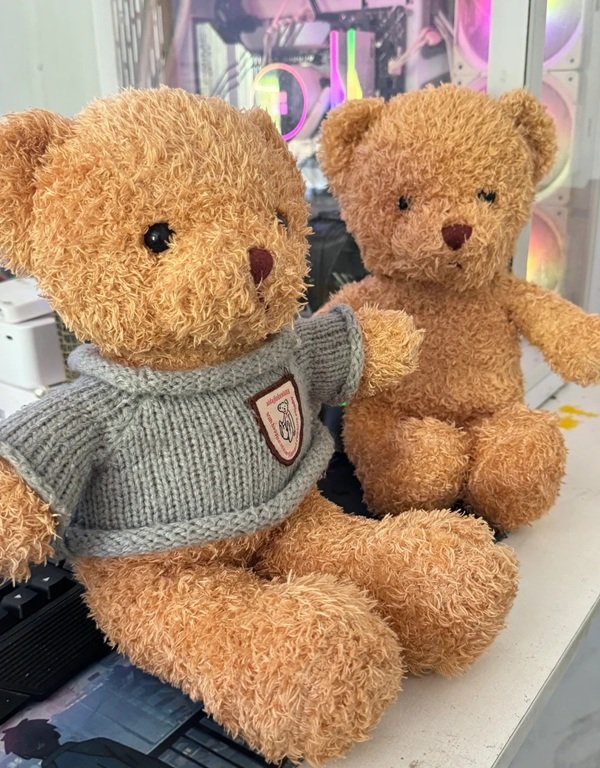 gấu teddy 15