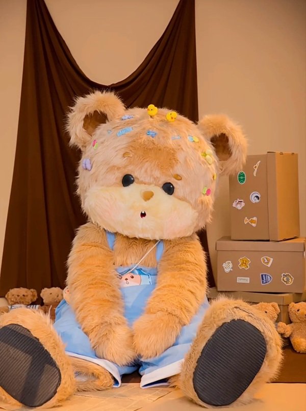 gấu teddy 17