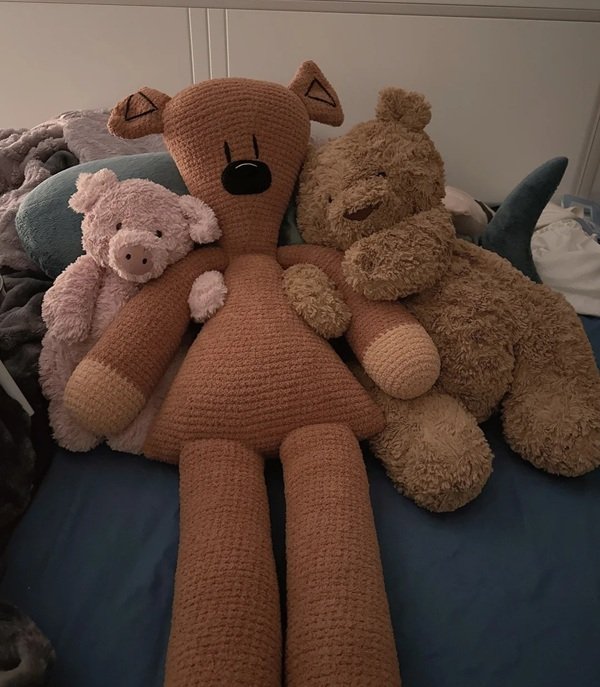 gấu teddy 22