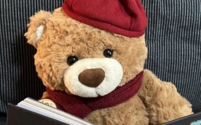 99+ Ảnh gấu teddy dễ thương được yêu thích hiện nay