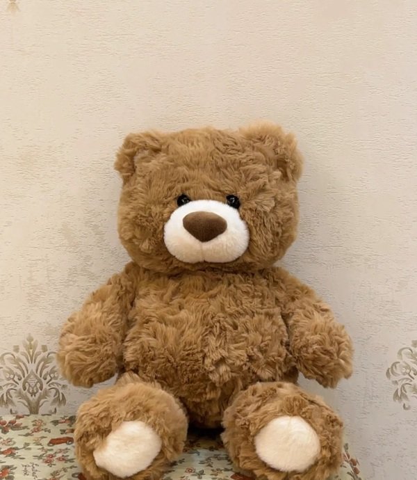 gấu teddy 32