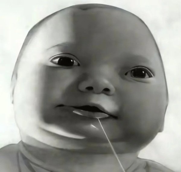 hình ảnh bựa 12