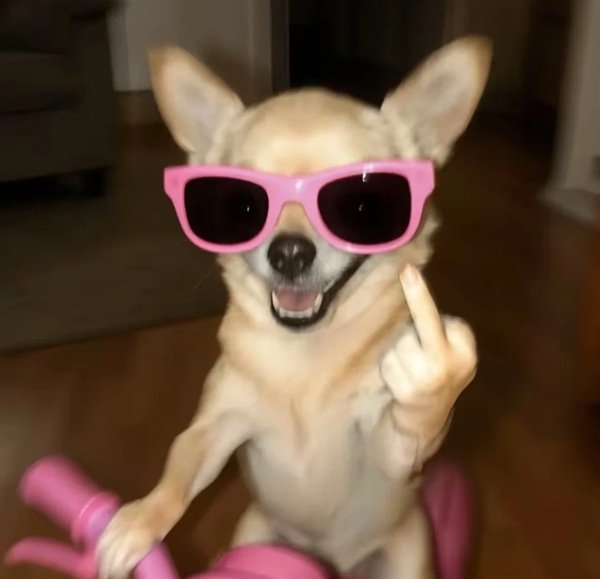 hình ảnh bựa 23