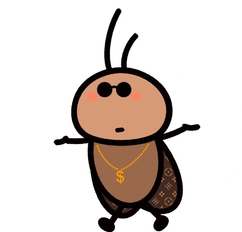 hình ảnh con gián 11