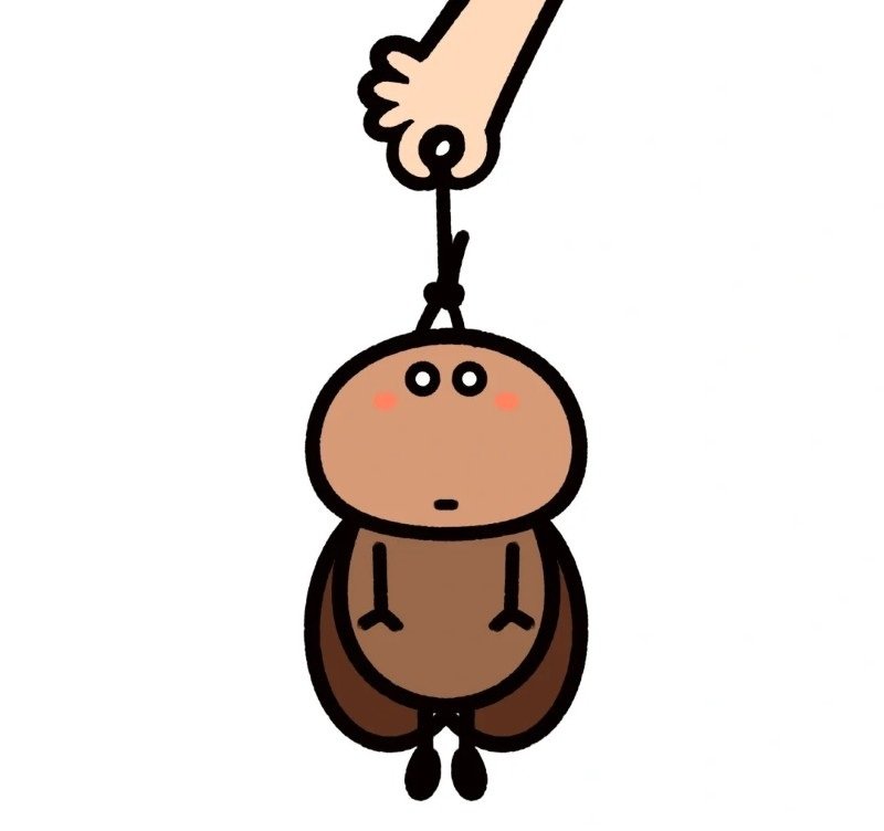 hình ảnh con gián 17