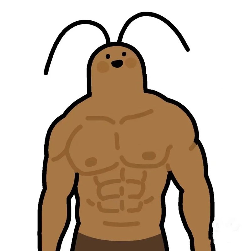 hình ảnh con gián 18