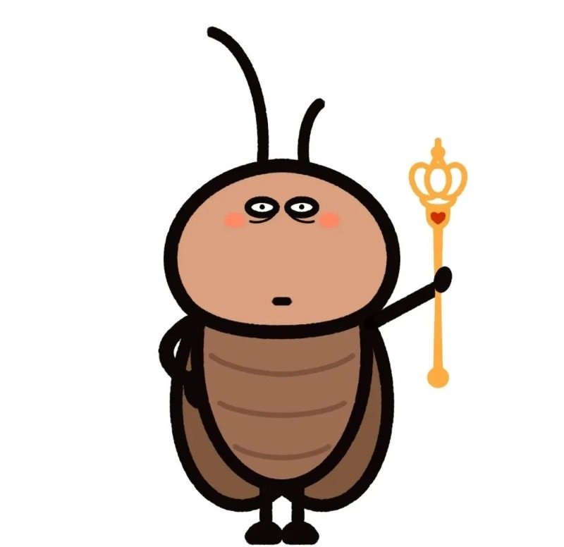 hình ảnh con gián 19