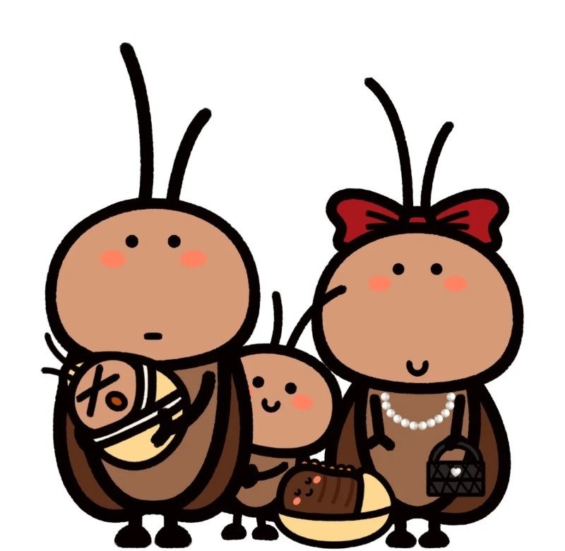 hình ảnh con gián 27