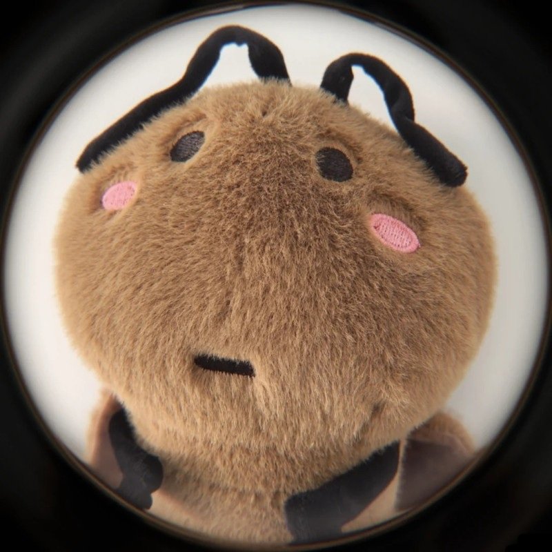 hình ảnh con gián 3