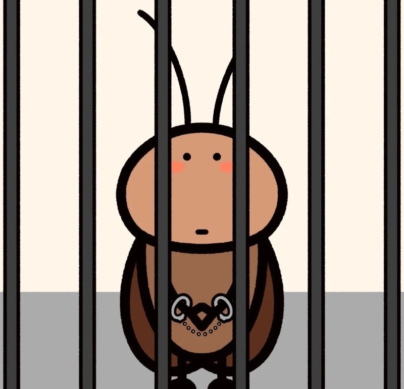 hình ảnh con gián 34