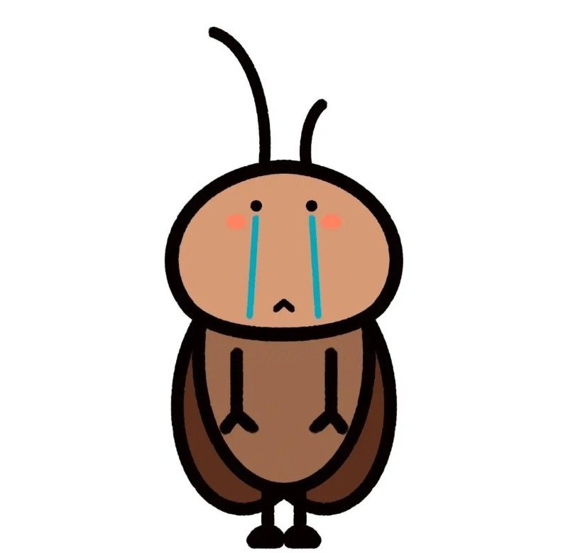 hình ảnh con gián 6