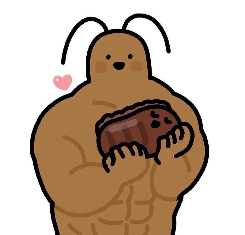 hình ảnh con gián 9