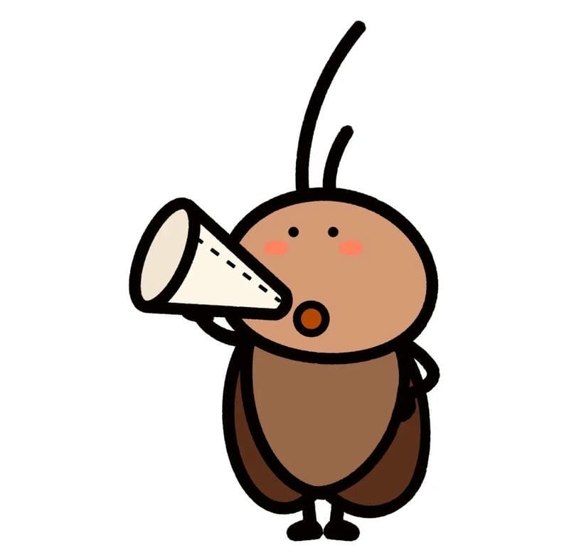 Hình ảnh côn trùng gián phổ biến trong tự nhiên