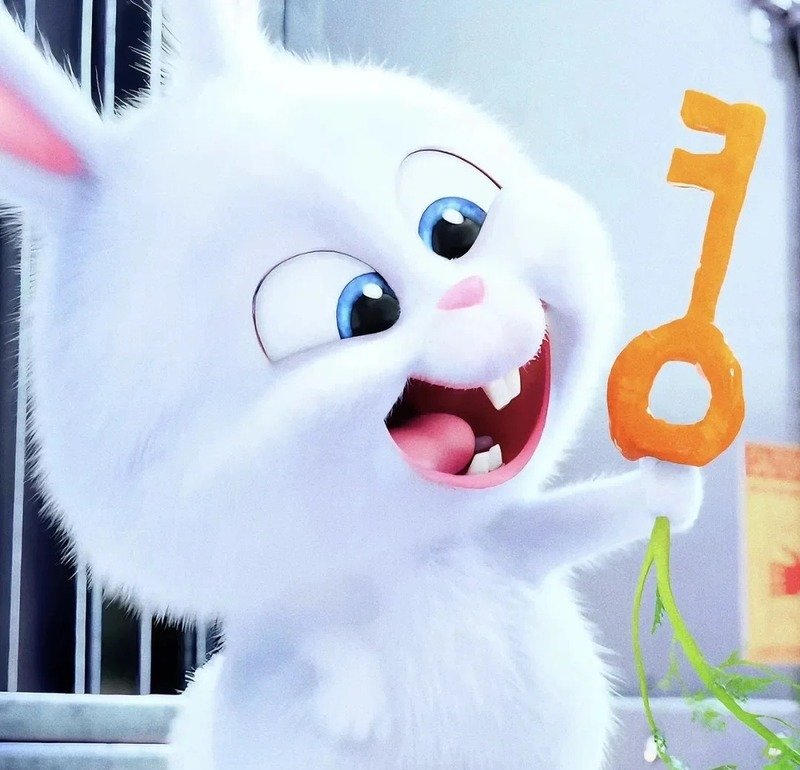 Ảnh cưới cô dâu chú rể chibi độc đáo