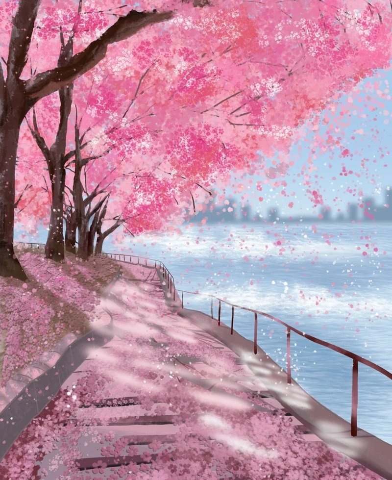 hình ảnh hoa anh đào anime 28