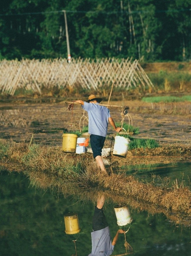 hình ảnh nghề nông 23