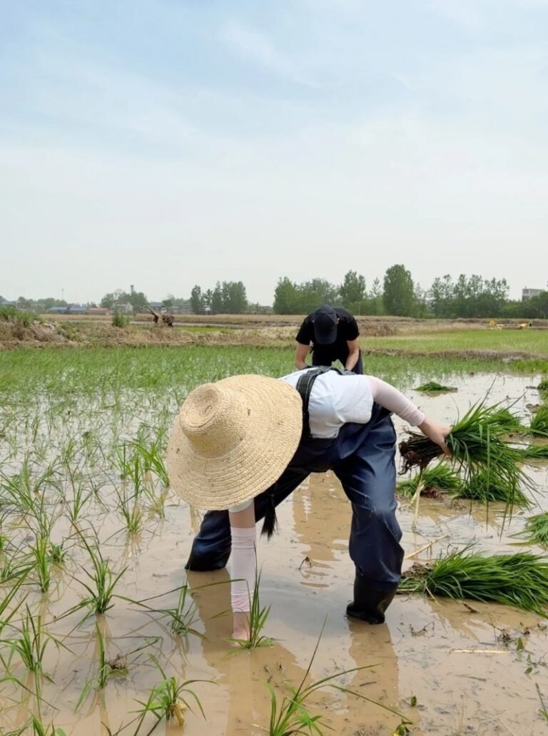 124+ Hình Ảnh Nghề Nông Mộc Mạc, Gắn Liền Với Cuộc Sống Quê
