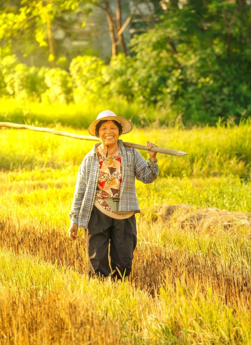 hình ảnh nghề nông 31