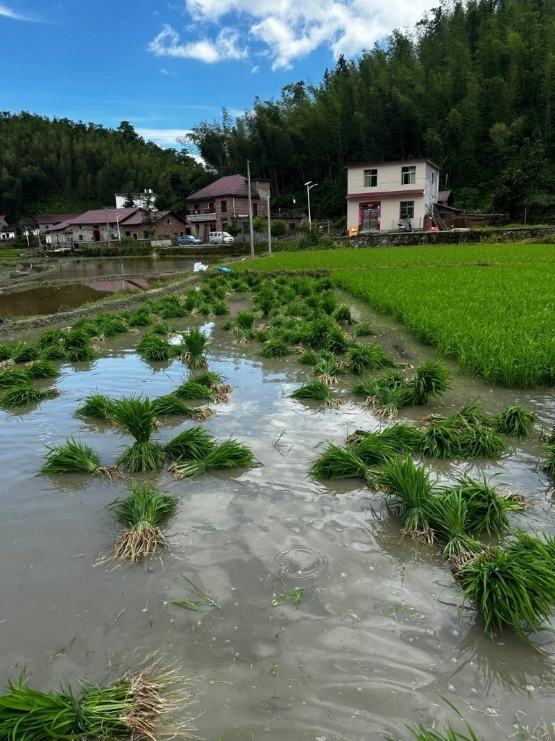 hình ảnh nghề nông 4