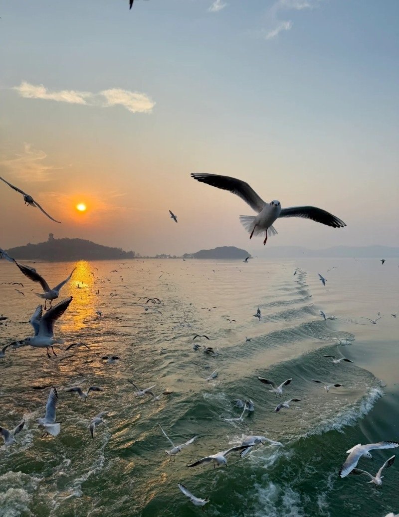 hình ảnh ông mặt trời đẹp 19