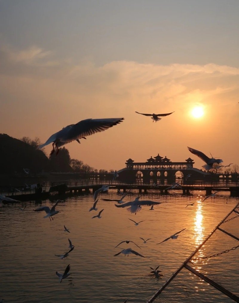 hình ảnh ông mặt trời đẹp 20