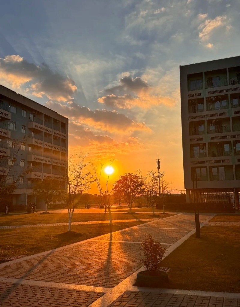 hình ảnh ông mặt trời đẹp 28