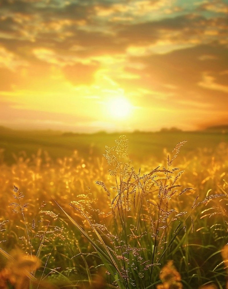 hình ảnh ông mặt trời đẹp 33