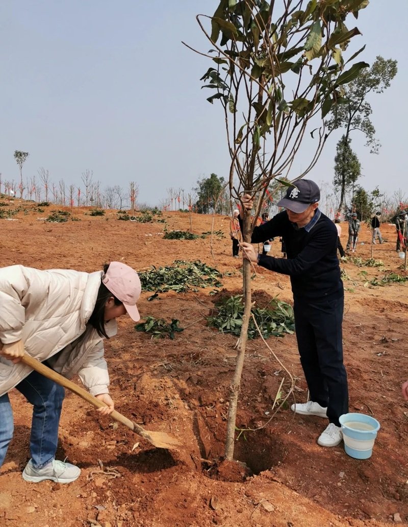 hình ảnh trồng cây 11