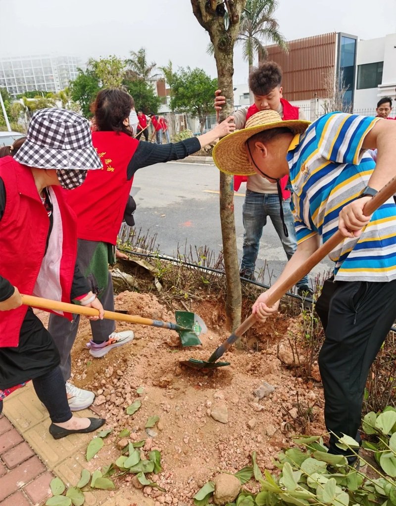hình ảnh trồng cây 19