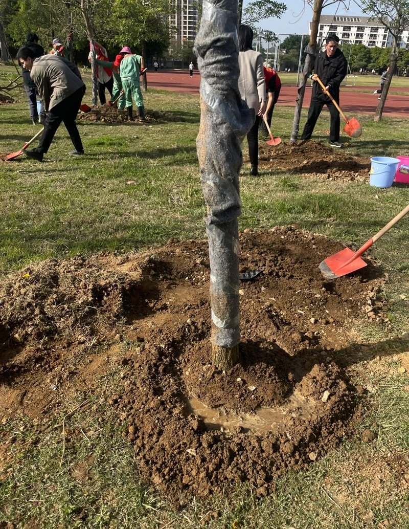 hình ảnh trồng cây 6