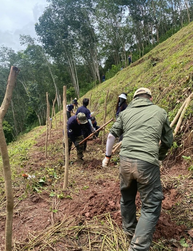 hình ảnh trồng cây 8