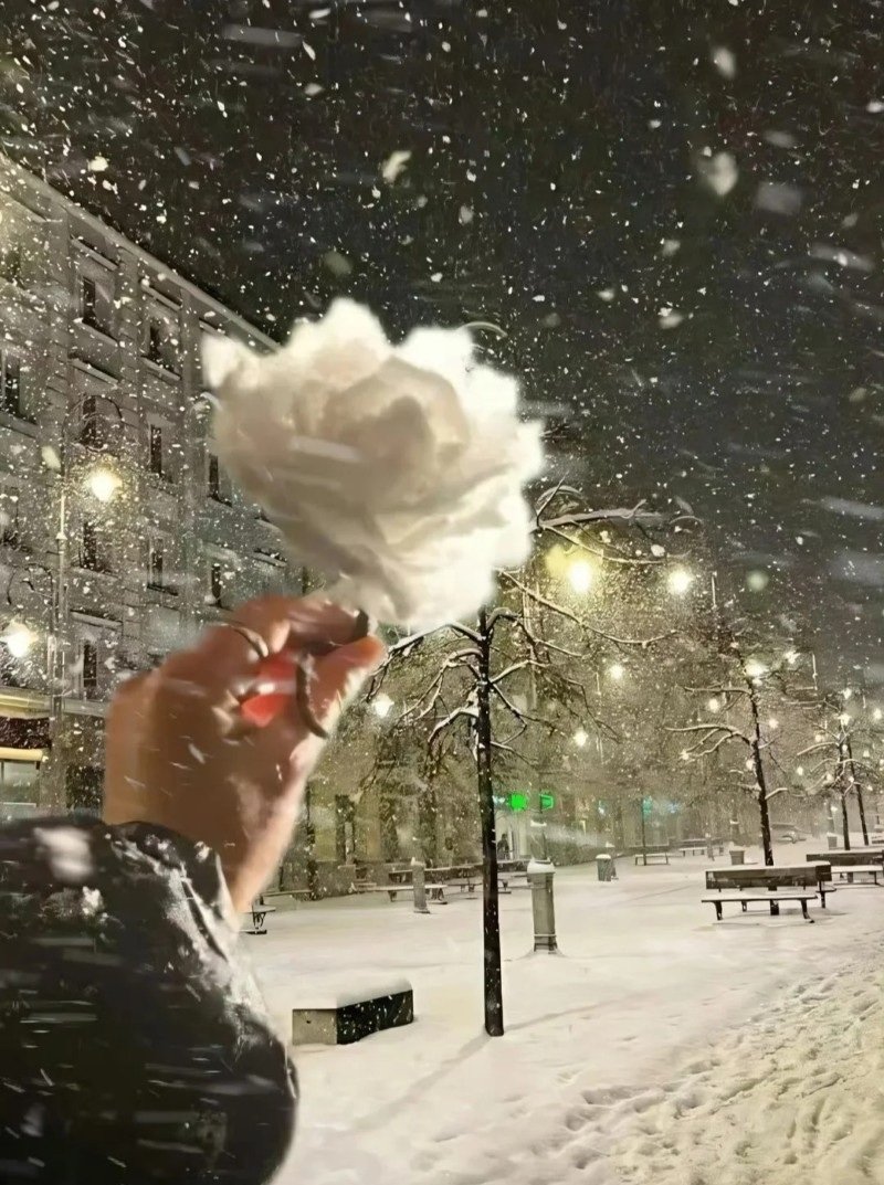 hình ảnh tuyết rơi đẹp nhất 1