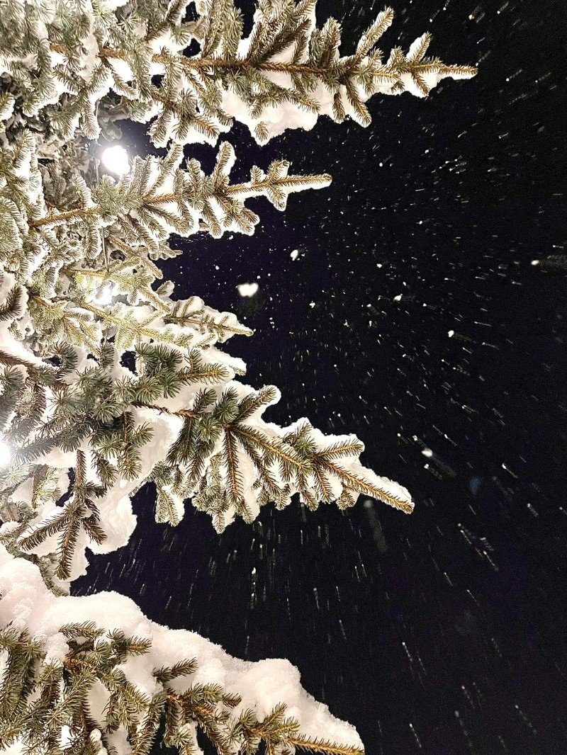 hình ảnh tuyết rơi đẹp nhất 11