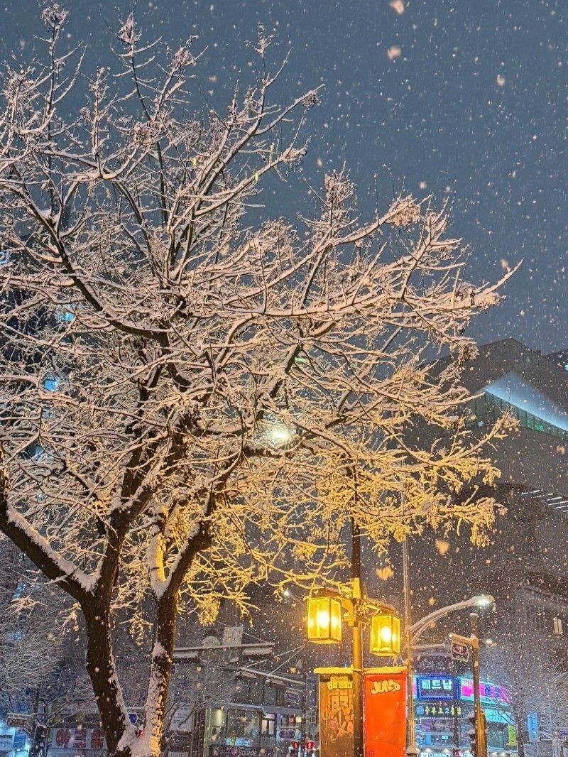 hình ảnh tuyết rơi đẹp nhất 12