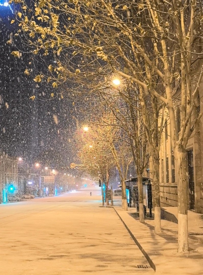 hình ảnh tuyết rơi đẹp nhất 20