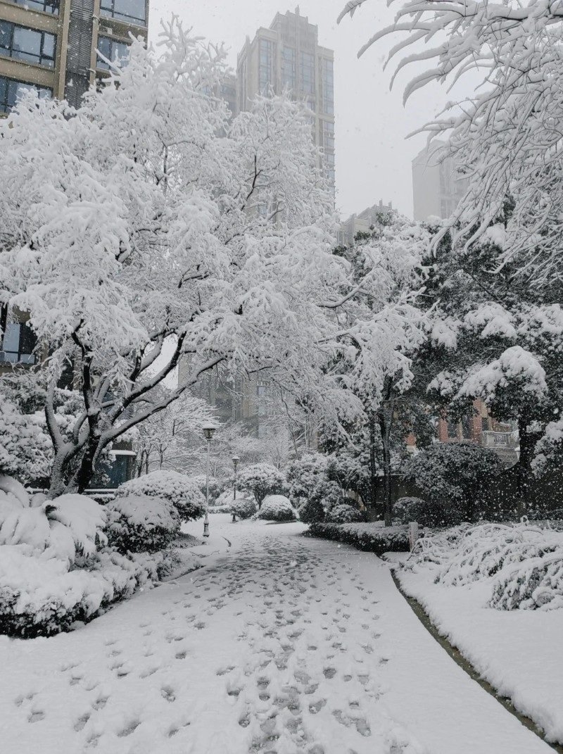 hình ảnh tuyết rơi đẹp nhất 23